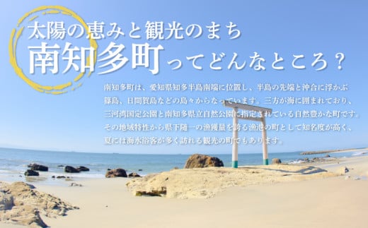 訳あり 塩サバ 切り身 約500g～約5kg 冷凍 鯖 塩 さば 魚 さかな 海鮮 海産物 おかず サバ 鯖ご飯 おすすめ 人気 さば サバ  鯖 魚 魚介 海鮮 惣菜 塩サバ 塩鯖 焼き鯖 サバ 焼きさば 焼さば 減塩  塩 鯖 さば サバ おすすめ 人気 ふるさと納税 鯖 サバ さば ふるさと納税さば 愛知県南知多町 南知多 株式会社 山太 さば 鯖 人気 おすすめ 愛知県 南知多町