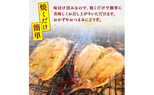 【 容量 選べる 】訳あり いわし 干物 16～48尾 冷凍 国産 パック 小分け 開き 便利 ご飯 イワシ ごはん 魚 さかな いわし 簡単 調理 干物 真イワシ ご飯のお供 つまみ 干物 酒の肴 鰯 晩酌 おかず マイワシ いわし 干物 海鮮 新鮮 魚介 いわし 海産 ヤマカ水産 愛知県 南知多町 人気 おすすめ