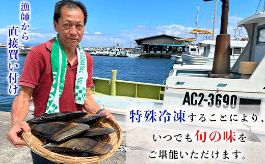 【容量 選べる】 天然 平貝 むき身 セット 330g～500g 冷凍 かい カイ 魚貝 魚介 海鮮 刺し身 刺身 平貝 たいらがい カイ 魚貝 魚介 海鮮 貝 刺し身 刺身 平貝 タイラギ かい カイ 魚貝 魚介 海鮮 刺し身 刺身 平貝 タイラギ たいらがい かい カイ 魚貝 魚介 海鮮 刺し身 刺身 平貝 タイラギ たいらがい かい カイ 魚貝 魚介 海鮮 刺し身 刺身 愛知県 南知多町