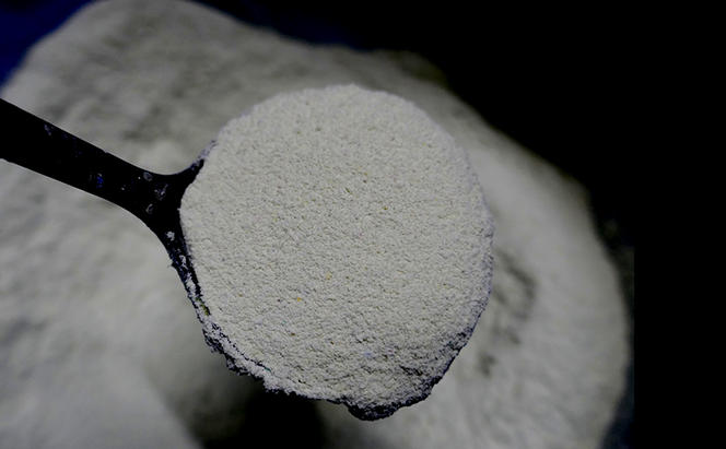 クライミングホールド・海の生き物セット クライミング 遊び 子供 トレーニング リサイクル素材 耐久 環境保護