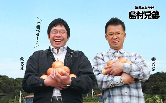 【定期便１年セット】農家さんと選んだ畑の恵みセット　　[野菜セット 定期便 野菜セット 野菜セット 淡路島 野菜セット 定期便 野菜セット]