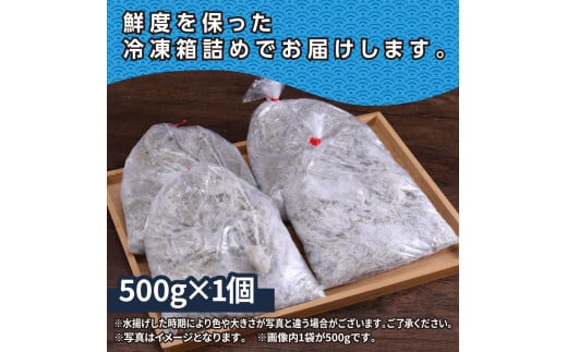 訳あり釜揚げシラス500g×1個 高知県産 釜揚げしらす 簡易梱包 わけあり 不揃い シラス 国産 釜揚げ 新鮮 しらす丼 海鮮丼 お茶漬け 冷凍配送 塩分控えめ お取り寄せ