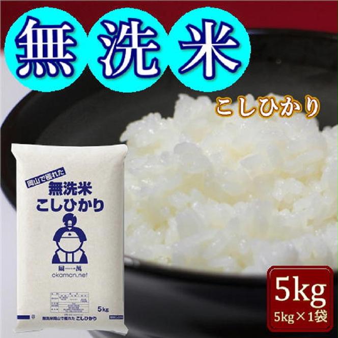 令和6年産 無洗米 こしひかり 5kg (5kg×1袋) 岡山県産 お米