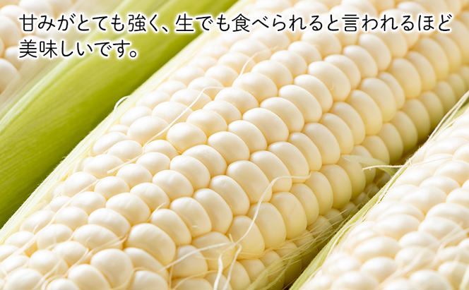 2025年夏～発送 富良野の人気の野菜 定期便 年4回  北海道 富良野産 とうもろこし メロン かぼちゃ 野菜 ふらの とうきび アスパラ かぼちゃ 美味しい 甘い 