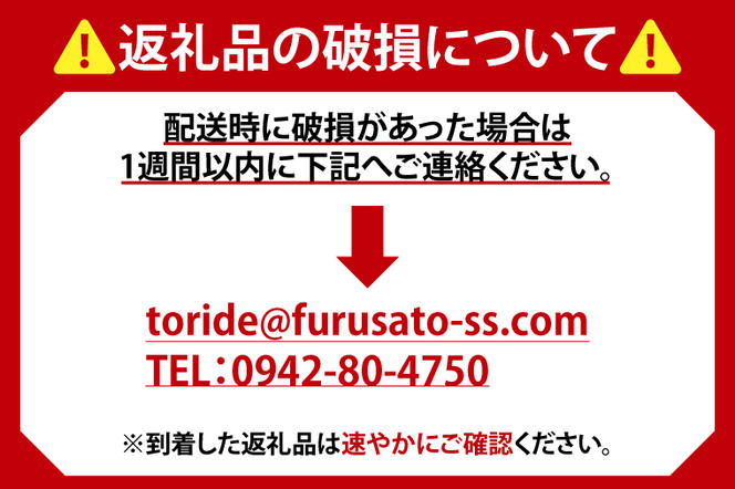 AB005-1　キリンビール取手工場産スプリングバレーシルクエール〈白〉500ml×24本