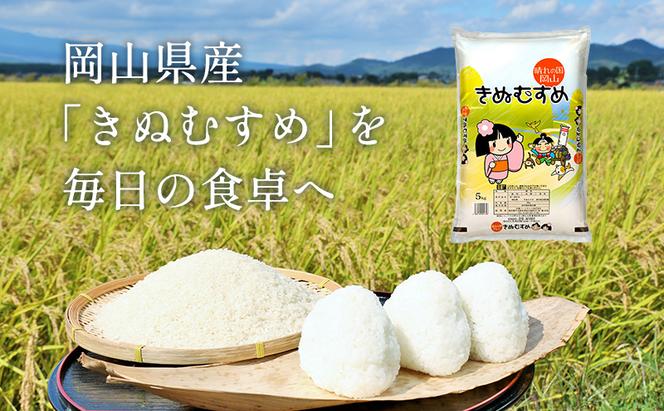 米 きぬむすめ 10kg ( 5kg ×2袋) 精米用 お米 岡山 岡山県産