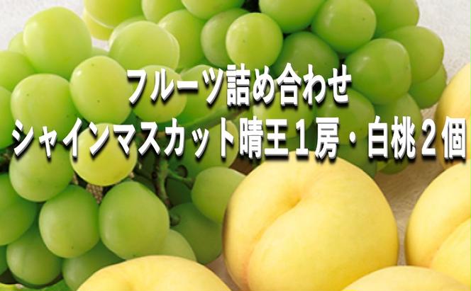 桃 ぶどう 【2025年 早期受付】 フルーツ詰め合わせ シャインマスカット 晴王 １房・ 白桃 ２個 もも ブドウ 葡萄 岡山県産 国産 フルーツ 果物 ギフト