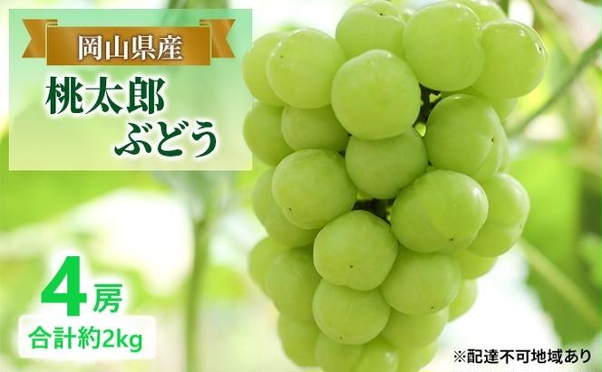 ぶどう 【2025年 早期受付】 桃太郎ぶどう 4房 合計約2kg ブドウ 葡萄  岡山県産 国産 フルーツ 果物 ギフト