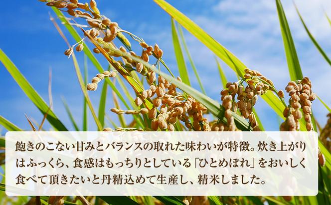 米 令和6年産 宮城県産 ひとめぼれ 10kg (5kg×2袋) お米 精米