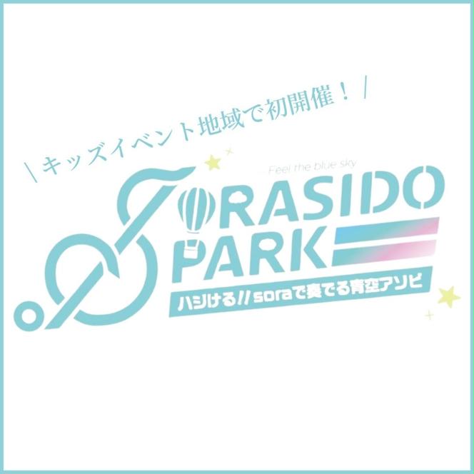 【11月23日開催！ SORASIDO PARK】初心者・お子様向けスケボーレッスン ( soraかさい イベント限定 )