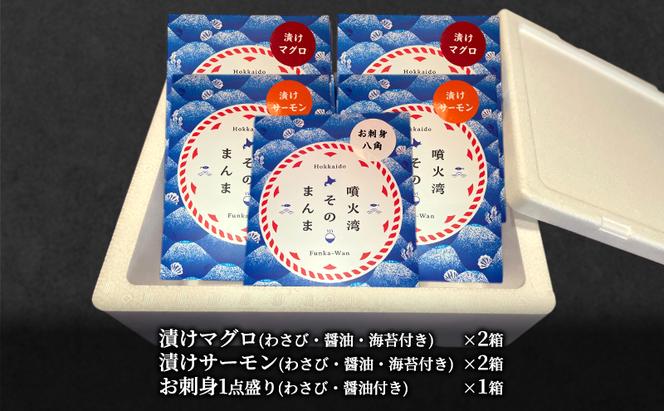 噴火湾そのまんま 漬けマグロ2箱、漬けサーモン2箱、お刺身1点盛り1箱の計5箱 旬菜一鮮 だて大和屋 厳選 魚介 海鮮 刺身 刺し身 小分け 新鮮 魚介類 魚貝類 加工食品 贈答 ギフト 贈り物 ご褒美