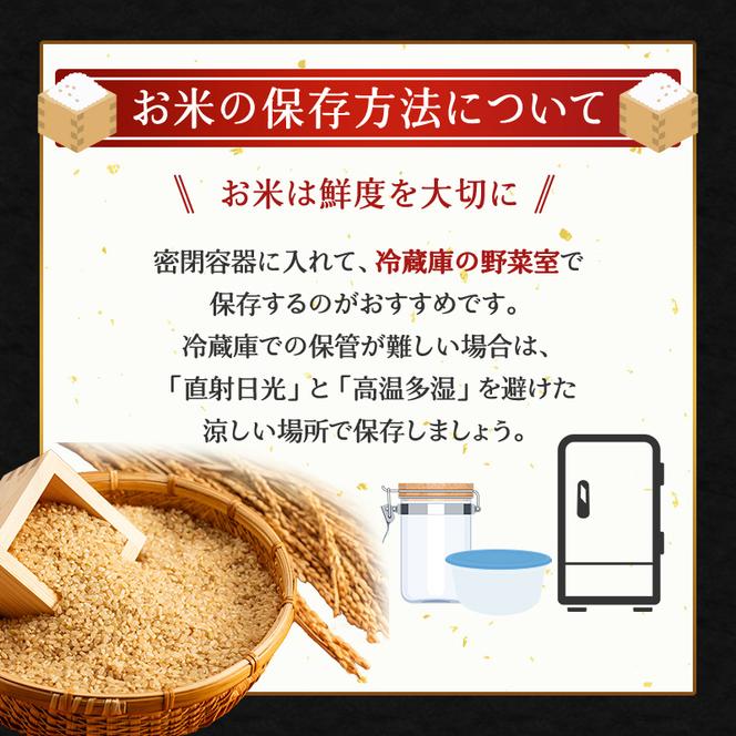 【1年定期配送】ホクレンゆめぴりか（玄米6kg）ANA機内食採用