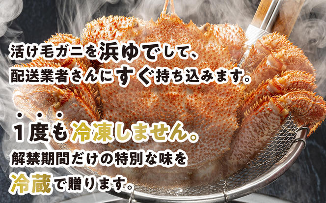 ＜2025年1月から順次発送＞ 訳あり 北海道産 浜ゆで 毛ガニ 1尾 ( 200g ～ 300g )  ＜ 予約商品 ＞ 毛蟹 毛がに かに味噌 カニ味噌 新鮮 旬 ボイル 浜茹で 海鮮 海産物 わけあり 訳アリ 