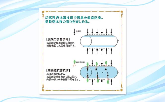 ファーファストーリー洗剤あわあわウォッシュ900g詰替3個セット[パウダリームスクの香り 微香性 洗濯洗剤 防臭 48時間抗菌 部屋干し すすぎ1回 やさしい香り 詰め替え用 詰替  日用品 ランドリ—]