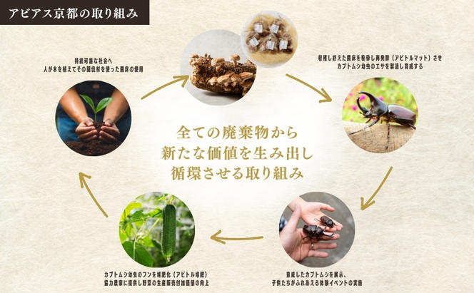 季節の新鮮野菜と菌床しいたけのセット アビトルベジタブル　野菜 詰め合わせ 旬 新鮮 京都府 南丹市