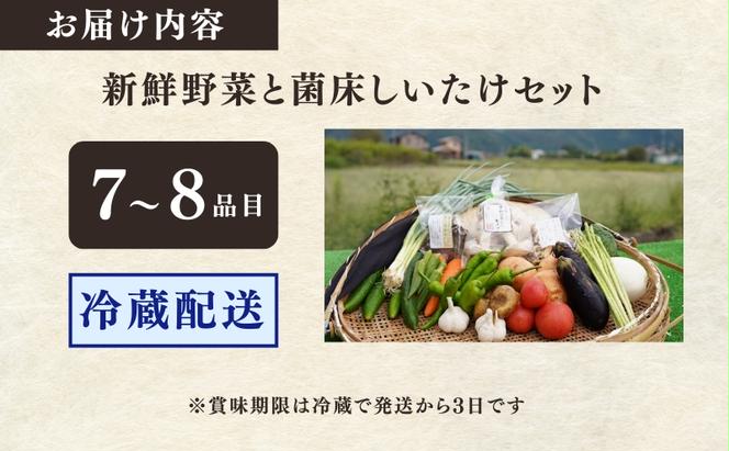 季節の新鮮野菜と菌床しいたけのセット アビトルベジタブル　野菜 詰め合わせ 旬 新鮮 京都府 南丹市