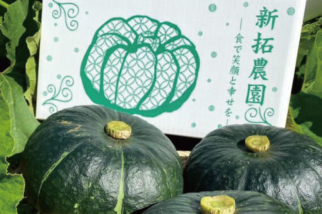 【数量限定】新拓農園のこだわり秋冬かぼちゃSセット 【野菜 やさい カボチャ 1万円以内 10000円以内 ほくほく 甘い おいしい パンプキン 国産 産地直送 期間限定 季節限定 茨城県 鹿嶋市】（KDC-3）