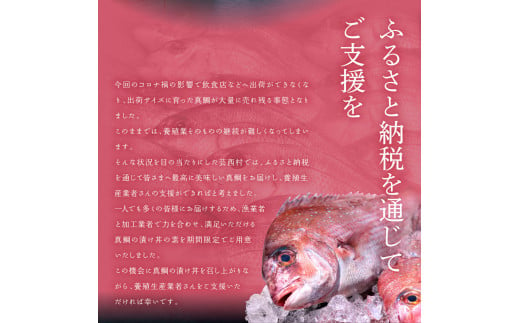 【CF-R5tka】「真鯛の漬け丼の素」1食80g×20P《迷子の真鯛を食べて応援 養殖生産業者応援プロジェクト》