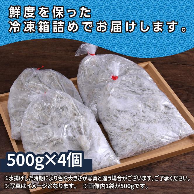 【CF-R5tka】MMK004　訳あり釜揚げシラス500g×4個 高知県産 釜揚げしらす 簡易梱包 わけあり 不揃い シラス 国産 釜揚げ 新鮮 しらす丼 海鮮丼 お茶漬け 冷凍配送 塩分控えめ お取り寄せ