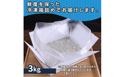 【CF-R5tka】MMK007　上物釜揚げシラス1kg×3個 合計3kg しらす シラス 釜揚げ 新鮮 塩分控えめ 赤ちゃん 子供 離乳食 しらす丼 海鮮丼 お茶漬け ごはん 冷凍配送 大量 しらすピザ 海鮮 