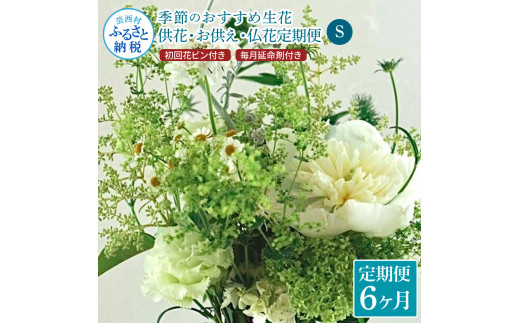 【CF-R5tka】t167tmf　《6ヵ月定期便》花束一束 お供え 初回花瓶付S 定期便 定期コース 全6回 初回花瓶付き 延命剤付き 花びん 生花 仏花 供花 花束 はな 花 法要 お盆 花 おすすめ 一束 季節のお花 供花 お供え
