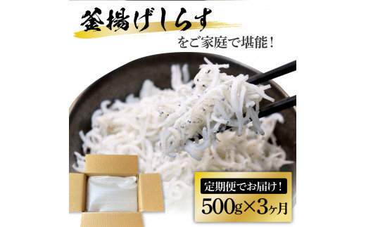 【CF-R5tka】t206kgp　《3ヶ月定期便》高知県産釜揚げしらす500g 定期便 定期コース 3回 簡易梱包 シラス 小分け 国産 釜揚げ しらす丼 海鮮丼 お茶漬け ごはん 軍艦巻き 冷凍配送 おかず おつまみ お楽しみ