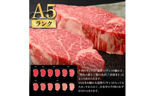 【CF-R5tka】土佐和牛特選ヒレステーキ100g×2枚セット 200g 牛肉 肉 お肉 和牛 国産 牛 ヒレ ステーキ A5 最高級 特選 霜降り 国産 希少 豪華 贅沢 美味しい おいしい 柔らかい 肉汁