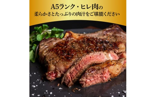 【CF-R5tka】土佐和牛特選ヒレステーキ100g×2枚セット 200g 牛肉 肉 お肉 和牛 国産 牛 ヒレ ステーキ A5 最高級 特選 霜降り 国産 希少 豪華 贅沢 美味しい おいしい 柔らかい 肉汁