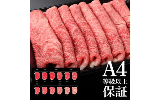 【CF-R5tka】土佐和牛霜降りスライス(うで)450g 牛肉 肉 お肉 和牛 国産 牛 ウデ肉 スライス A5 最高級 特選 霜降り 国産 豪華 贅沢 美味しい おいしい 柔らかい 肉汁 すき焼き しゃぶしゃぶ