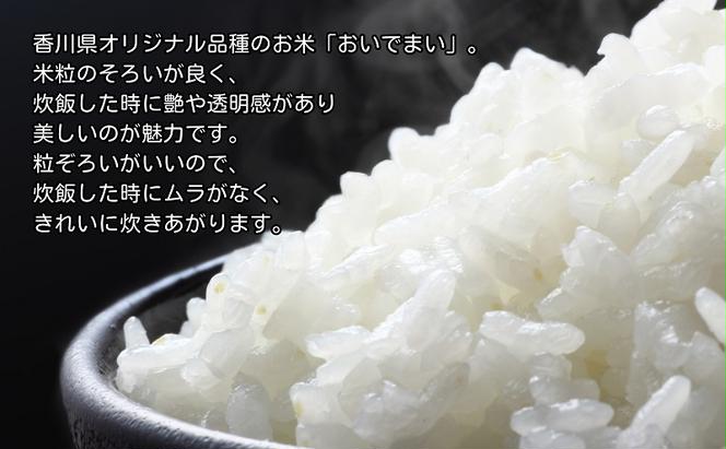 【令和6年産】香川県産 おいでまい 5kg 1袋　米 お米 精米  おいで米 粘り 旨み