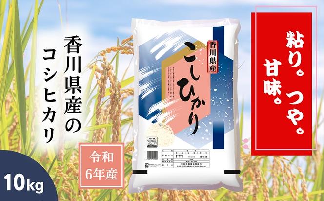 【令和6年産】香川県産 コシヒカリ 10kg 1袋　米 お米 精米 こしひかり 粘り つや 甘味