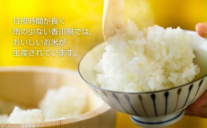 【令和6年産】香川県産 コシヒカリ 10kg 1袋　米 お米 精米 こしひかり 粘り つや 甘味