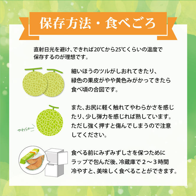 【12月中旬～1月上旬発送】土佐の赤肉メロン【とくみ】(2玉入)【土佐グルメ市場(土佐市)】約3kg 3キロ めろん 赤肉メロン 果物 くだもの フルーツ なめらか 高級 デザート おやつ ミネラル