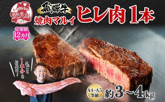 定期便 12ヶ月 飛騨牛 ヒレ肉 1本 A4～A5等級 約3～4kg  3割×6  ヒレ シャトーブリアン 肉 牛肉 ブランド牛 お肉 和牛 贅沢 お取り寄せ ご褒美 ステーキ 豪華 グルメ 焼肉 BBQ ギフト 贈り物 自家用 贈答用 送料無料 焼肉マルイ 岐阜県 安八町