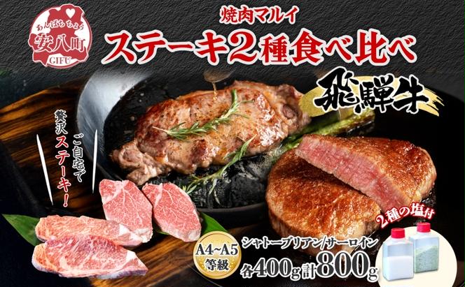 飛騨牛 ステーキ 2種 食べ比べ 計約800g シャトーブリアン サーロイン 各約400g 肉 牛肉 和牛 ブランド牛 お肉 ビーフ A4ランク A5ランク 国産 お取り寄せ ご褒美 豪華 グルメ 焼肉 BBQ 人気 贈り物 自家用 贈答用 送料無料 焼肉マルイ 岐阜県 安八町