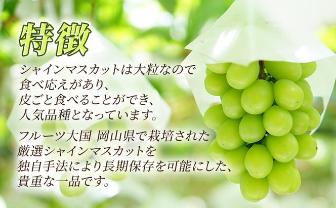 【✖】贈答用 岡山県産 シャインマスカット 2房 約1.3kg以上 ぶどう