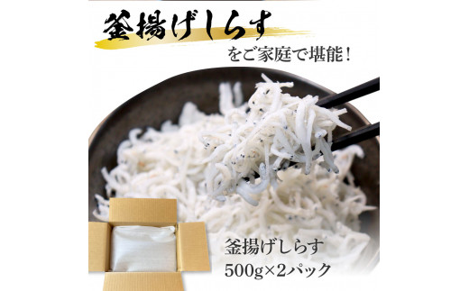 【CF-R5tka】KGP079　高知県産釜揚げしらす500g×2パック 1kg 1キロ 簡易梱包 シラス 小分け 国産 釜揚げ しらす丼 海鮮丼 お茶漬け ごはん 軍艦巻き 手巻き寿司 ご飯 雑炊 冷奴 冷凍配送 おかず おつまみ