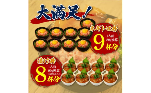 【CF-R5tka】KYF139　ネギトロ80g×9P＋漬け鮪丼90g×8P 冷凍配送 簡易包装 小分け 惣菜 人気 海鮮 ネギトロ丼 まぐろたたき 海鮮丼 便利 かんたん 自然解凍 個食 一人暮らし どんぶり 漬け丼 お手軽