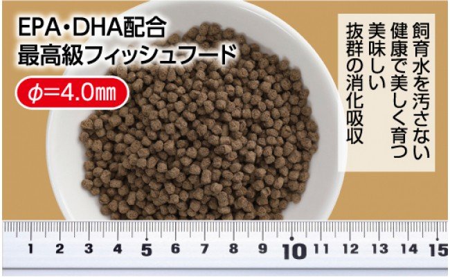 【CF-R5tka】KGC014　GROW E ペレット 160g 中型熱帯魚用 ＜最高級 フィッシュフード EPA・DHA配合 ペレットタイプ 浮遊性 魚 餌＞【餌 えさ エサ】【観賞魚 餌やり】【水槽/熱帯魚/観賞魚/飼育】【生体】【アクアリウム/あくありうむ】