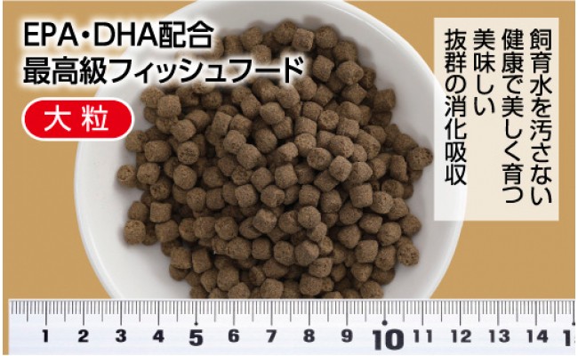 【CF-R5tka】KGC034　錦鯉貴族 F 1kg 沈降性 ＜最高級 フィッシュフード EPA・DHA配合 大粒 魚 餌＞【餌 えさ エサ】【観賞魚 餌やり】【水槽/熱帯魚/観賞魚/飼育】【生体】【アクアリウム/あくありうむ】