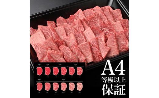 【CF-R5tka】土佐和牛上カルビ焼肉450g 牛肉 肉 お肉 和牛 国産 牛 上カルビ かるび バラ肉 A4等級以上 霜降り 国産 豪華 贅沢 美味しい おいしい 柔らかい 肉汁 やきにく