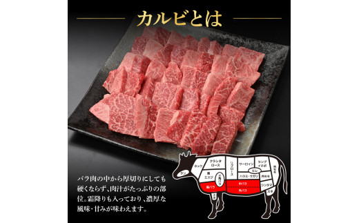 【CF-R5tka】土佐和牛上カルビ焼肉450g 牛肉 肉 お肉 和牛 国産 牛 上カルビ かるび バラ肉 A4等級以上 霜降り 国産 豪華 贅沢 美味しい おいしい 柔らかい 肉汁 やきにく