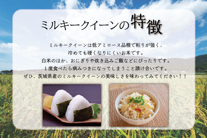 ★新米★R6年産 コシヒカリ 5kg＋ミルキークイーン 5kg　茨城県産米　おいしさ食べ比べセット(HA-10)