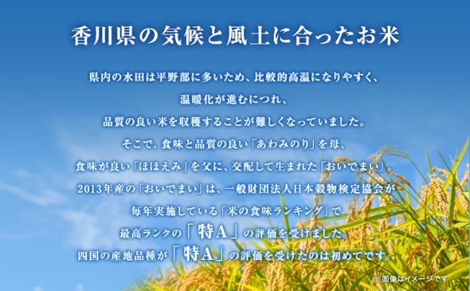 米 5kg さぬきの米 おいでまい お米 精米 ギフト おいしい 国産 香川 白米 ※令和6年産