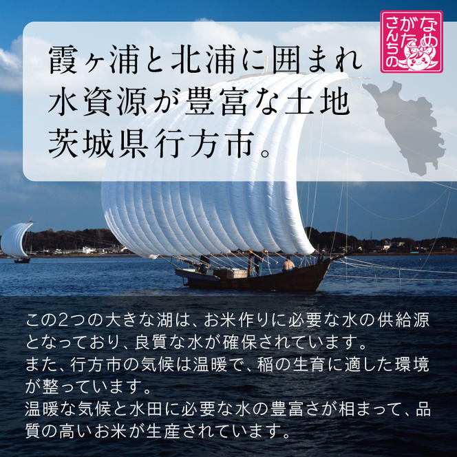 ★最短3営業日で発送★十八雑穀 パックごはん 18食入り 安心の国産原料(HE-1)