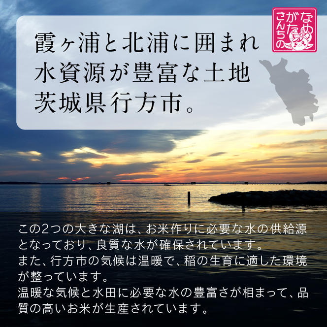 ★最短3営業日で発送★ミルキークイーン パックごはん 白米 18食入り 極上の甘みともちもち食感(HE-2)