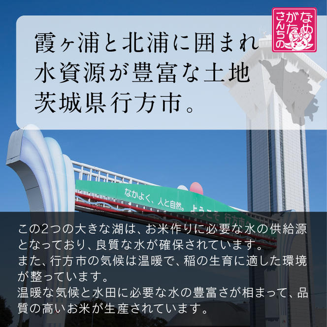 ★最短3営業日で発送★ミルキークイーン パックごはん 玄米 18食入り 甘み豊かもちぷち(HE-3)