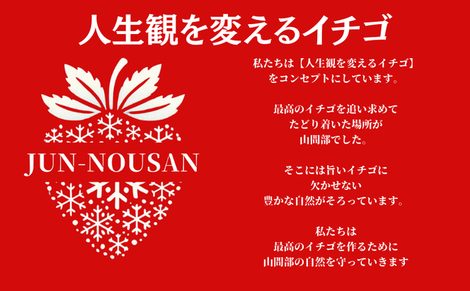 【訳あり】いちご/2025年1月から3月/250g×2パック/岐阜県美濃市産/