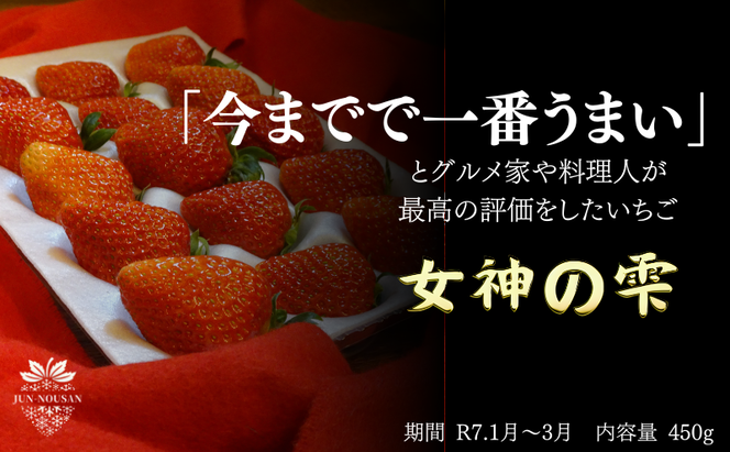 「今までで1番旨い」とグルメ家がうなったイチゴ【女神の雫】/2025年1月から3月/450g/岐阜県/美濃市/じゅん農産/1