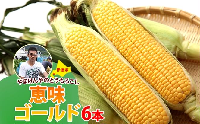 やまけんや とうもろこし 恵味ゴールド 6本 スイートコーン コーン 甘い サラダ スープ 生でも美味しい 産地直送 BBQ とうきび 国産 人気 バーベキュー 焼きとうもろこし 取り寄せ 糖度 北海道 伊達市